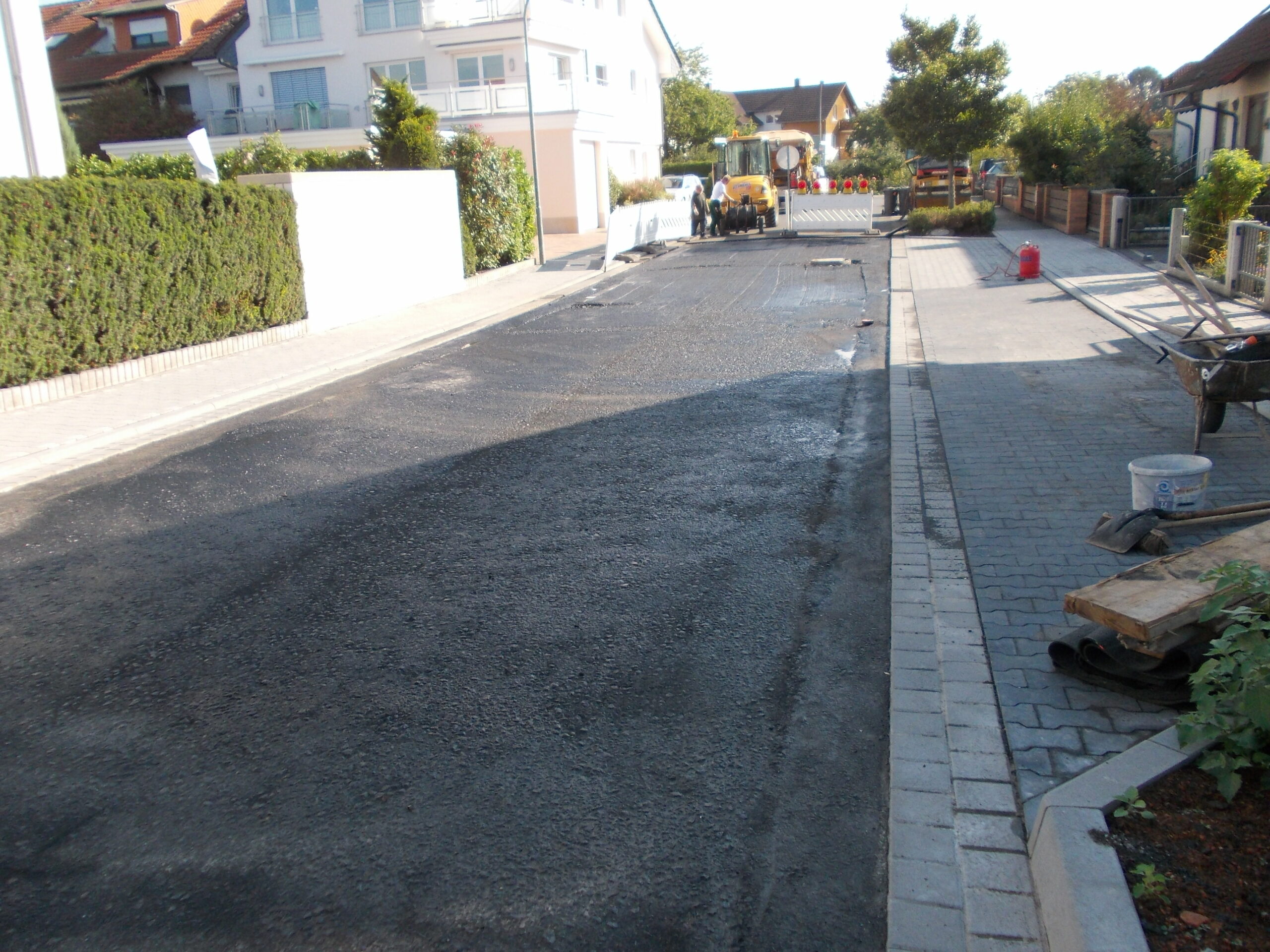 Endausbau Schildhecke